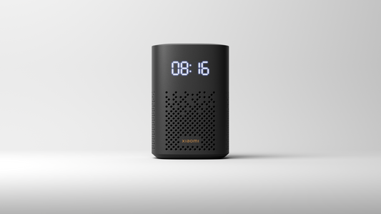 Mi Smart Speaker
