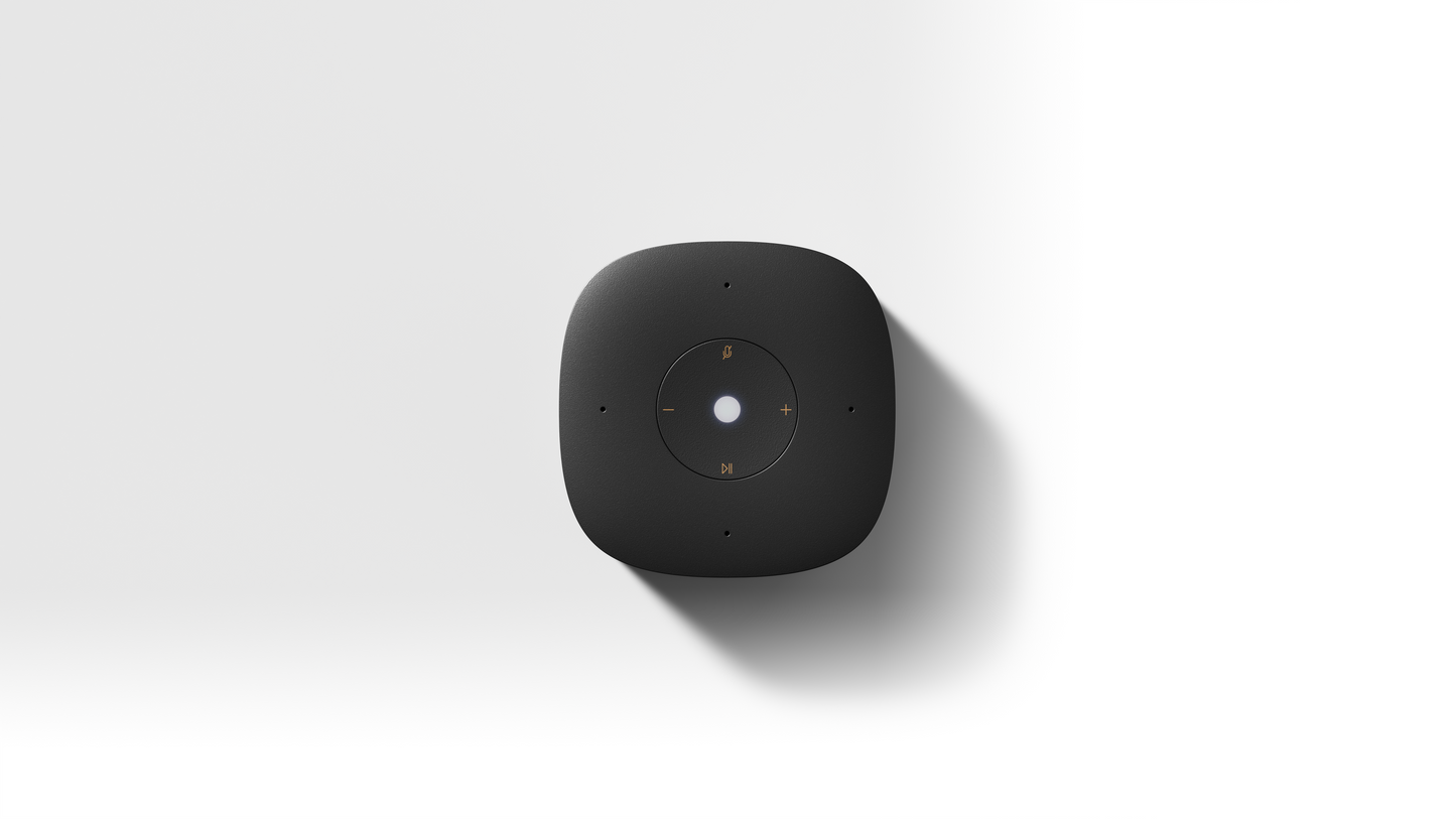 Mi Smart Speaker