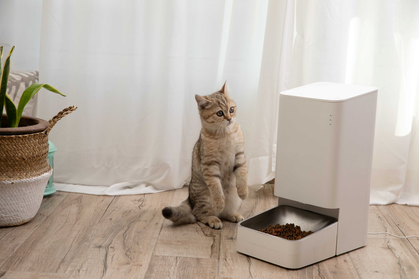 Mi Smart Pet Food Feeder White