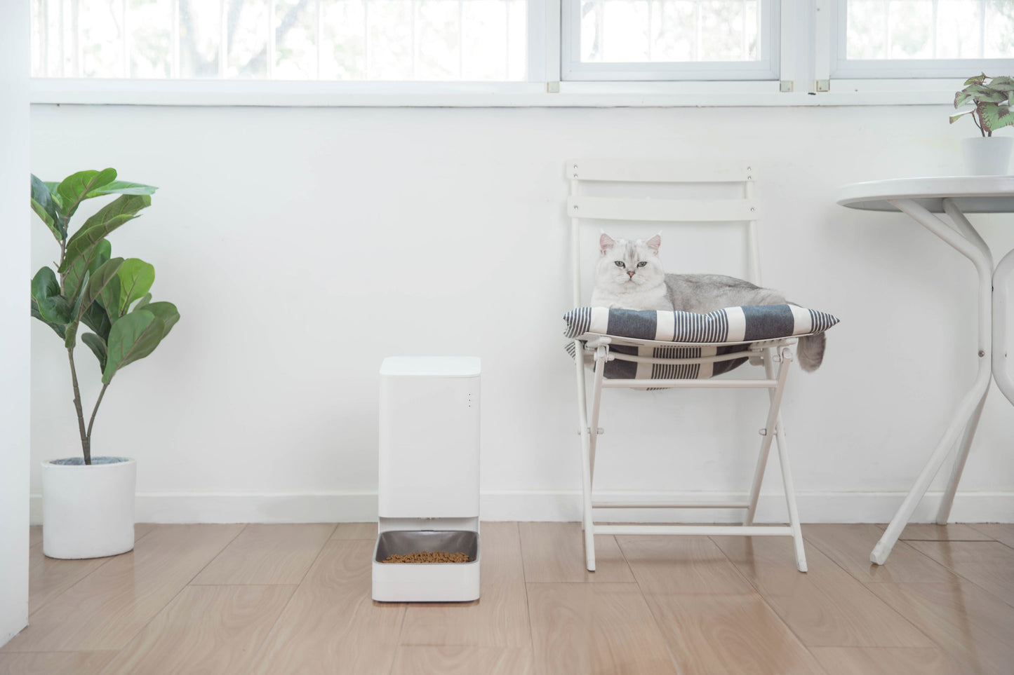 Mi Smart Pet Food Feeder White