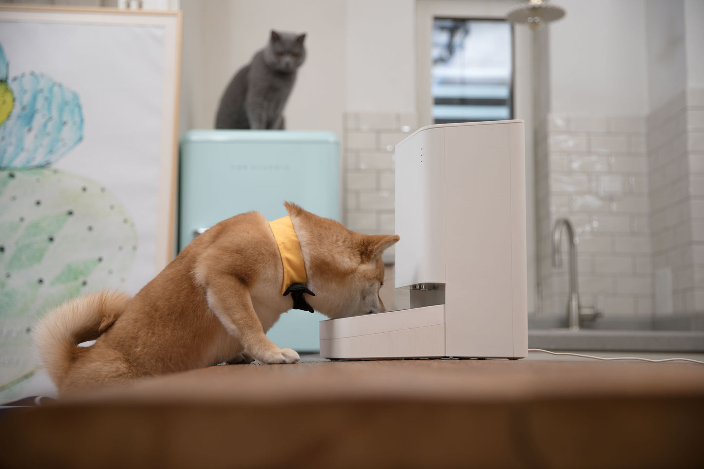 Mi Smart Pet Food Feeder White