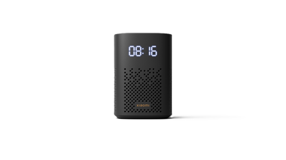 Mi Smart Speaker