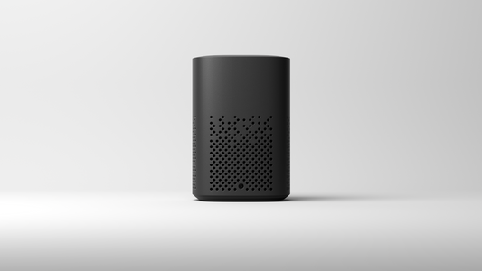 Mi Smart Speaker