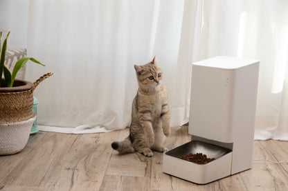 Mi Smart Pet Food Feeder White